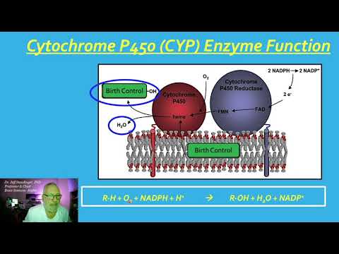 GIGU_GENE LECT Mechanisms of Drug Drug Interactions (Staudinger)