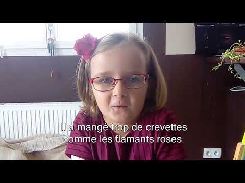 Pourquoi le Soldat Rose est rose ? La réponse des enfants !