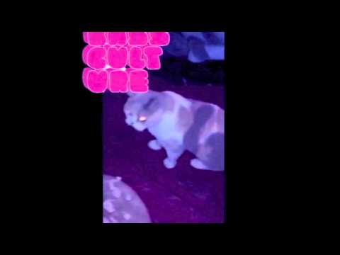 Bassculture Miaaauw Soundz IX TRAILER (Vocals by Mikey Murka)