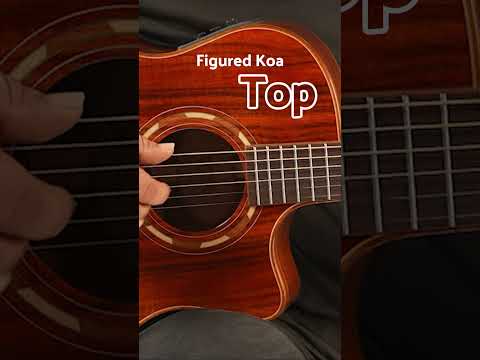 Washburn Comfort G55CE Koa image 18