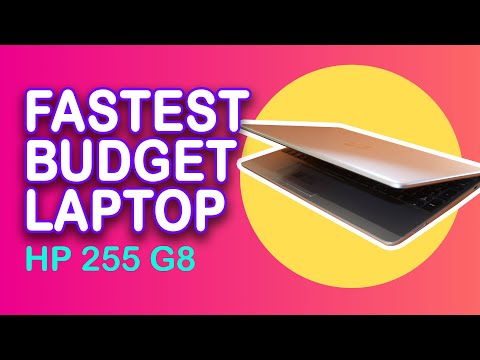 FASTEST BUDGET GAMING LAPTOP 2024 | HP 255 G8