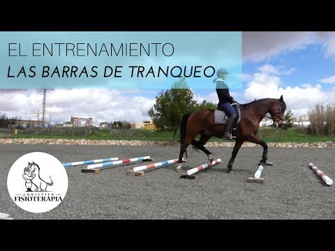 EL ENTRENAMIENTO | Las barras de tranqueo || ChristienFisioterapia