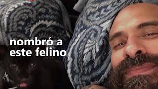 La pantera de Babo de Cartel de Santa