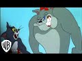 Tom And Jerry In The Dog House Cat Napping Hammock Warner Bros Entertainment