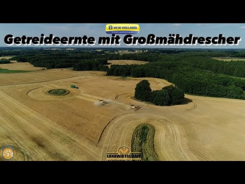 Getreideernte mit Großmähdrescher New Holland 1200ha Getreide in Mecklenburg Vorpommern Ernte 2023