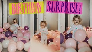 HUGE BIRTHDAY SURPRISE! | ADDI TURNS 2!