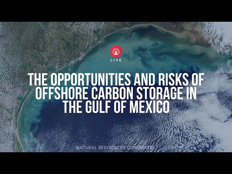 Erik Milito testifies on offshore carbon storage