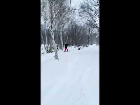 Okushiga Kogen off piste run