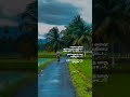 Elangaathu Veesudhey Solo Song Lyrics WhatsApp Status Tamil Tamil Lyrics Song Dreamzone43