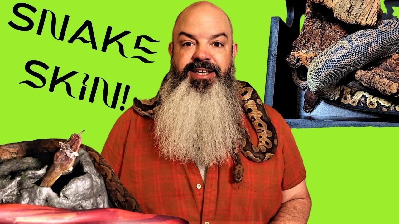 What To Do When Your Snake Is Shedding