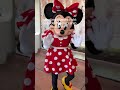 Mickey And Minnie Surprise Meet And Greet