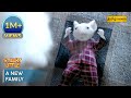 Stuart S Heartwarming Adoption STUART LITTLE ஸ்டூவர்ட் லிட்டில் So