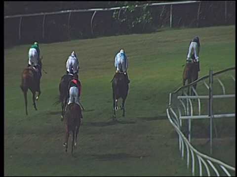 Galoppo 20/08/2016 - 6° corsa