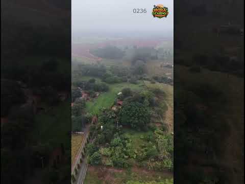 Sítio à Venda em Tanabi - São Paulo #shorts #fazenda #agronegocio #sitio