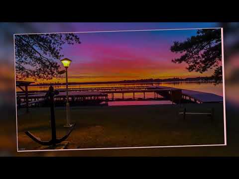 The Frajle feat. Zeljko Bebek - Zuta Ruza (Photos of Vojvodina 2019) 4K