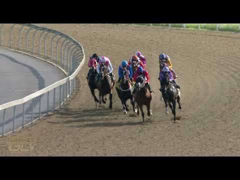 20220109 Hollywoodbets Greyville express clip Race 8 won by DROGARATI