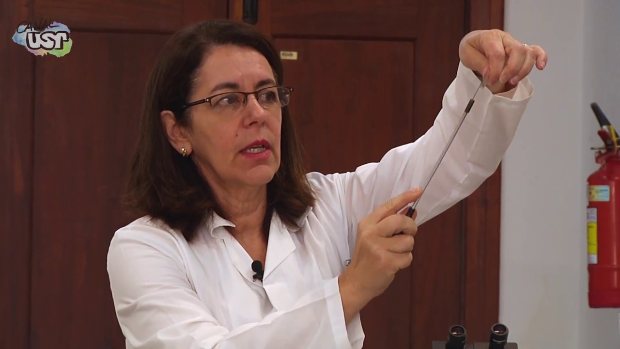 Aula 4 (Prática) Classificação de doenças de plantas - Grupos de McNew (2/3)