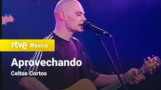 Celtas Cortos - "Aprovechando" (Conciertos de Radio 3 2000)