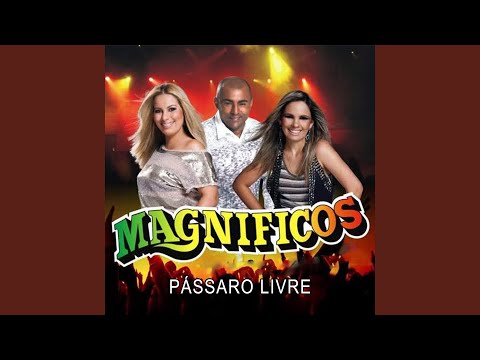 Passaro - Os Magnificos