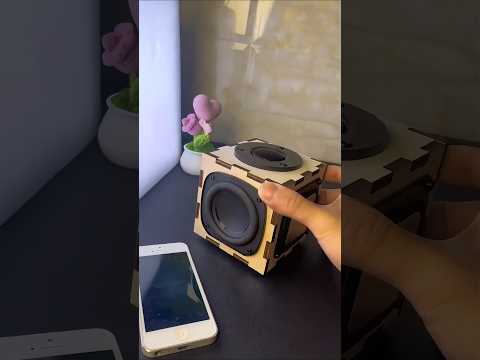 Amazing passive radiator bass, DIY speaker