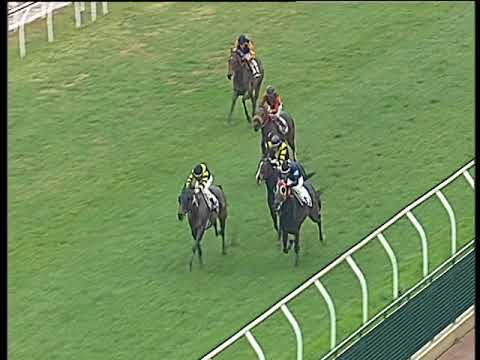 Galoppo 06/02/2018 - 1ª corsa