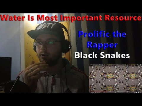 Water Is Most Important Resource / Prolific The Rapper - Black Snakes (Reaction)