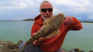 Download Lagu Coffs Harbour Fishing For Flathead Thumbnail