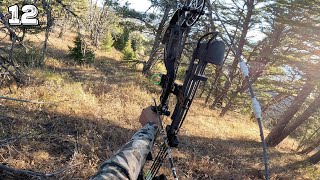 Rutfest in the High Country | Montana Archery Elk (Part 3/3)