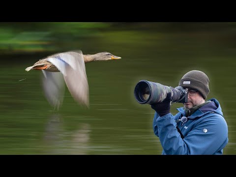 How to Photograph Birds in Flight on a DULL DAY - Tips & Techniques for Bird Photography