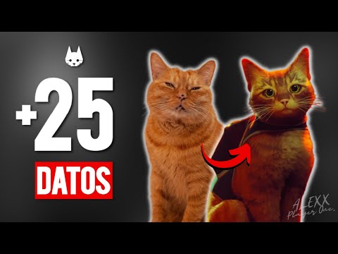 Stray trivia: Sequel, controversies, Stray's origins, mods, and more!