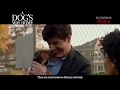 A DOGS WAY HOME - in cinemas Feb 6