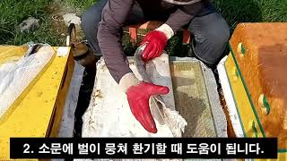 프로폴리스망을 이용한 여름벌 관리 꿀팁