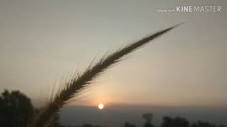 Download lagu Lirik Lagu Arah Yang Berbeda - Michelle Joan mp3