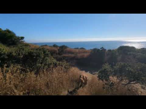 One of the earliest campsites you can pull out to. like a mile from the beach.