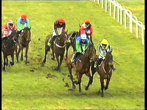 2006 Totesport Ascot Chase