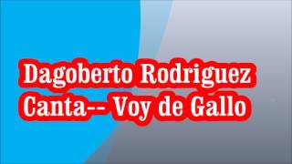 Dagoberto Rodriguez Canta-- Voy de Gallo