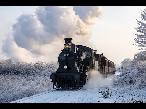 Südjütlands Veteranenzug - Weihnachtszug auf Haderslevbanen 2022