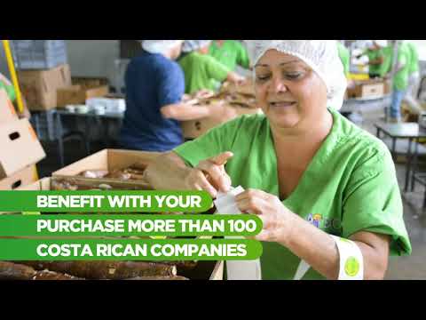 Bring health and wellness to your table with cassava from Costa Rica