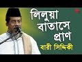 লিলুয়া বাতাসে প্রাণ | Bari Siddiqui | Amar Joto Gaan | Channel i | Iav