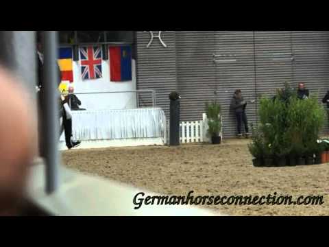 PB Show VER2015 Fuerst Fohlenhof