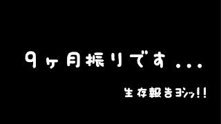 気づいたら9か月経ってました。