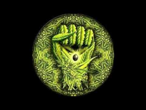 Rude Fyah - Rasta Children