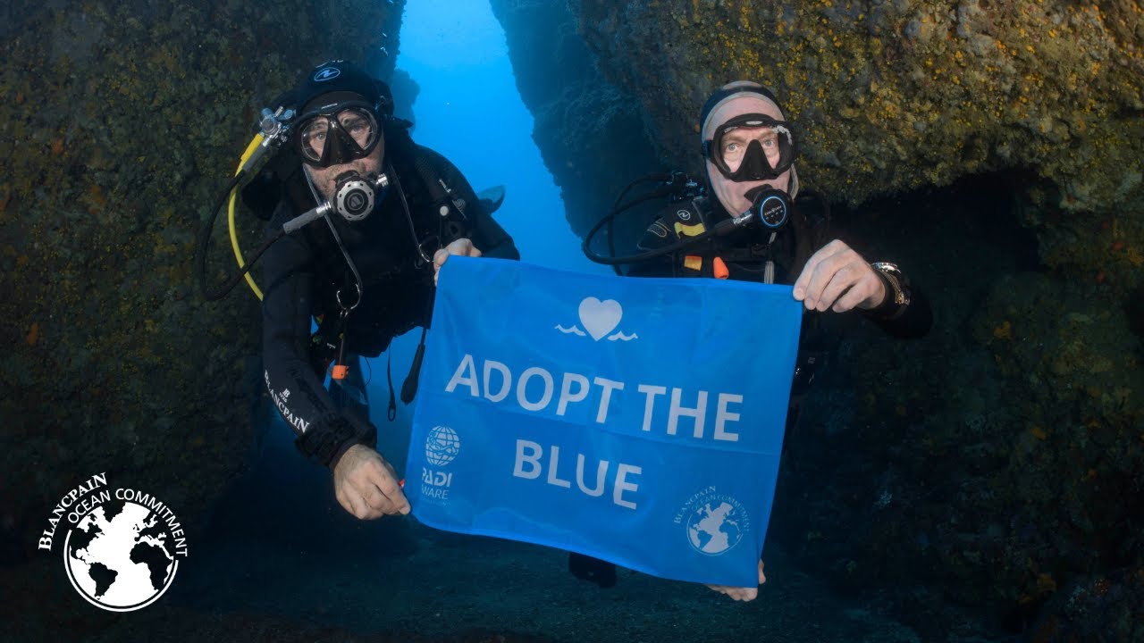 Blancpain & PADI - A Long-Lasting Partnership for Marine Conservation
