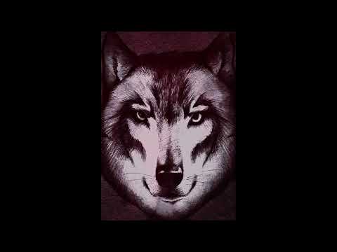 Shahmen - Mangroven $ Black Flowers Ft. Unartadox