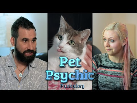 Pet Psychic: Ep 2 Pancakey