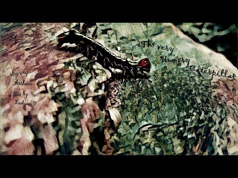 The Very Hungry Caterpillar