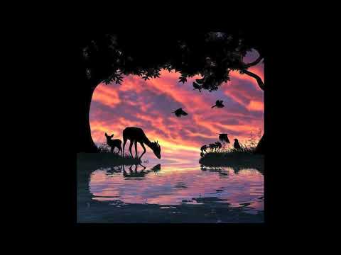 PelySayon - Camino al Sol