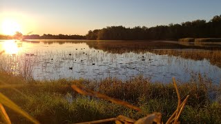How we find success Waterfowl hunting!