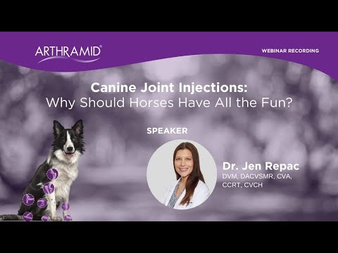 Canine Joint Injections: Why Should Horses Have All the Fun? | Dr. Jennifer Repac