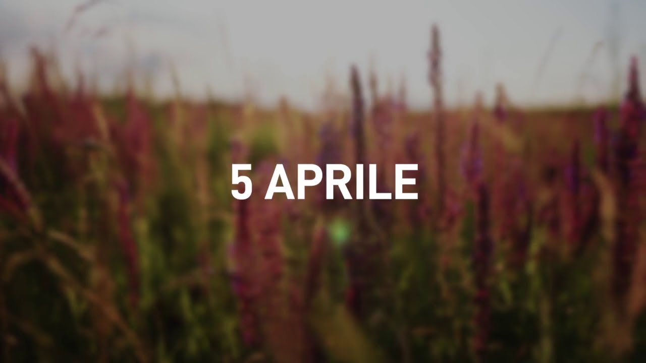 5 Aprile 2025 | Meditazione Parole di Vita